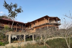 IMG_5900