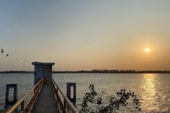 IMG_7961