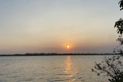 IMG_7984