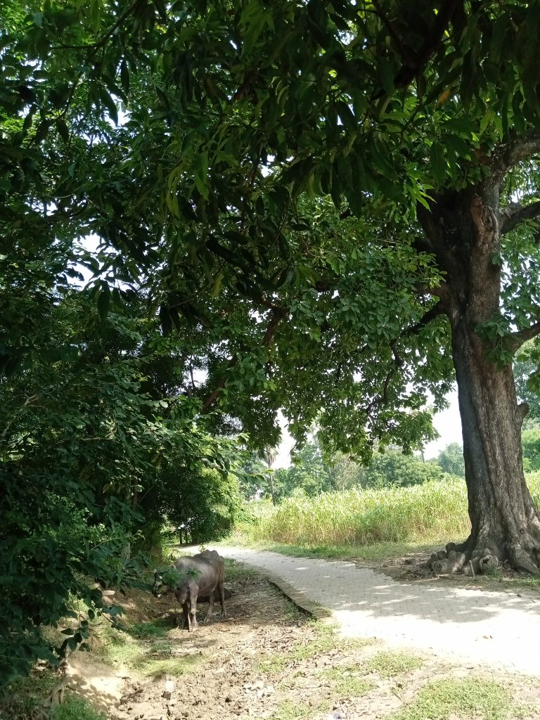 Tha thứ không phải là yếu đuối, mà là cách mạnh mẽ nhất để sống nhẹ nhàng…